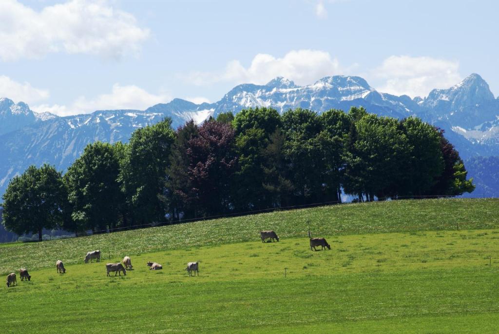 Landhaus Grobert Seeg Bagian luar foto